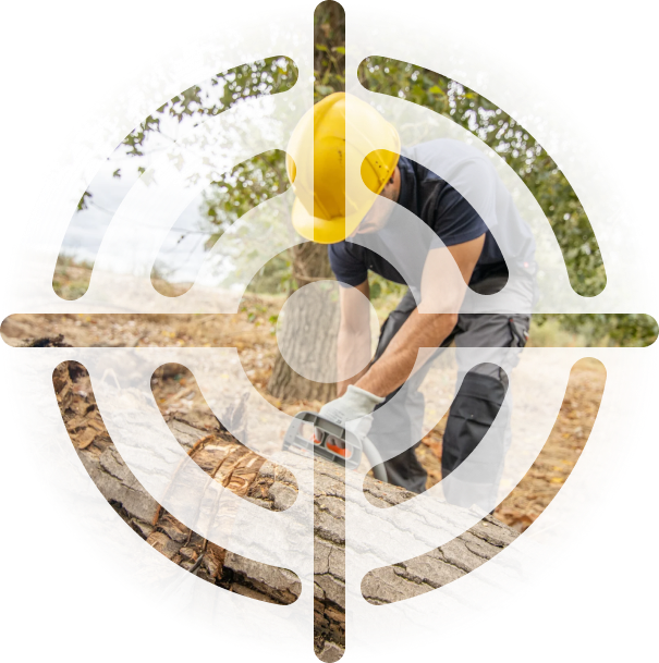 Arborist using chainsaw for tree service in Richmond, Texas.